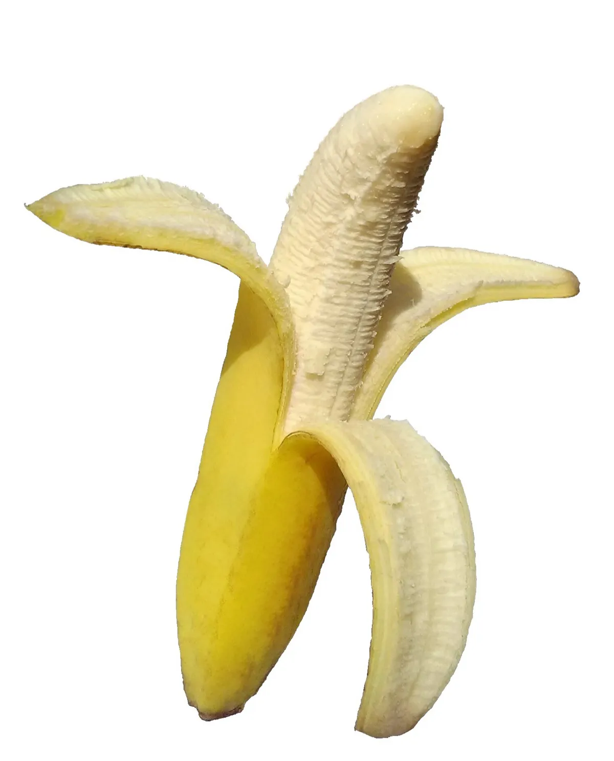 Win, Lose or Banana - Image 1